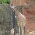 Bilder 2017 - 9b - Ausflug in den Zoo
