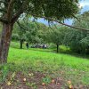 Besuch Streuobstwiese 24