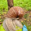 Besuch Streuobstwiese 24