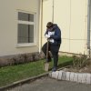 Wettbewerbs AG Tulpen pflanzen
