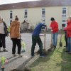 Wettbewerbs AG Tulpen pflanzen